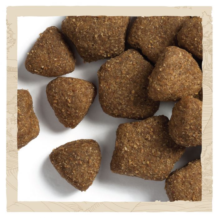Сухий корм для дорослих собак DOG CHOW Adult з ягням 14 кг