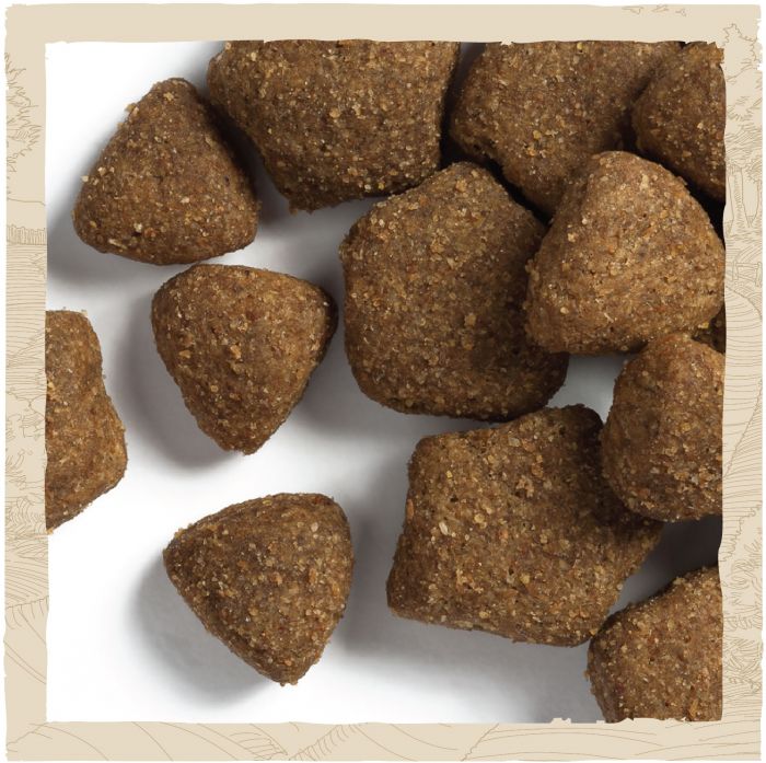 Сухий корм для дорослих собак DOG CHOW Adult з ягням 2,5 кг