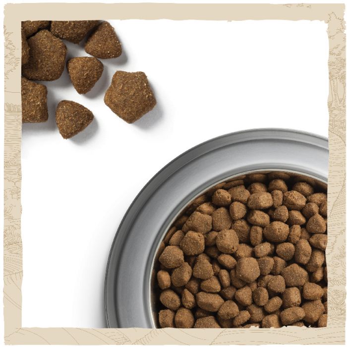 Сухий корм для дорослих собак DOG CHOW Adult з ягням 2,5 кг