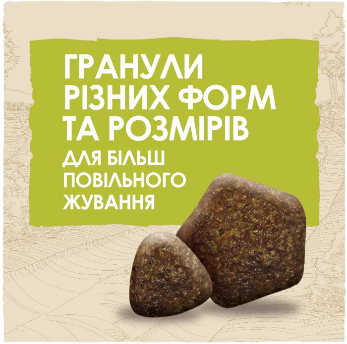 Сухий корм для дорослих собак DOG CHOW Adult з ягням 2,5 кг