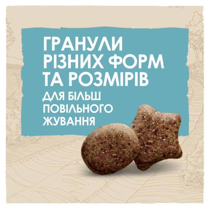 Сухий корм для цуценят DOG CHOW Large Breed Puppy великих порід з індичкою 14 кг