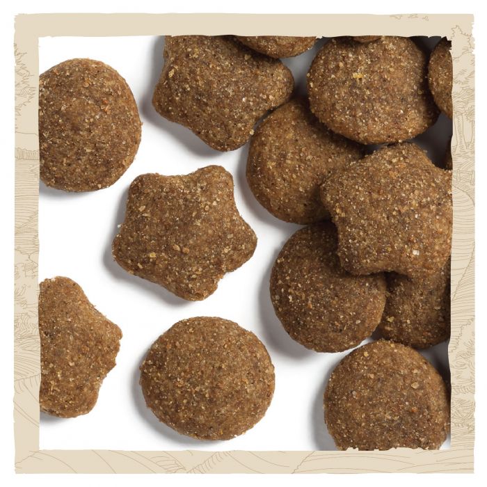 Сухий корм для цуценят DOG CHOW Large Breed Puppy великих порід з індичкою 14 кг