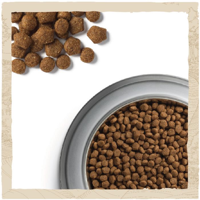 Сухий корм для цуценят DOG CHOW Puppy з ягням 2,5 кг