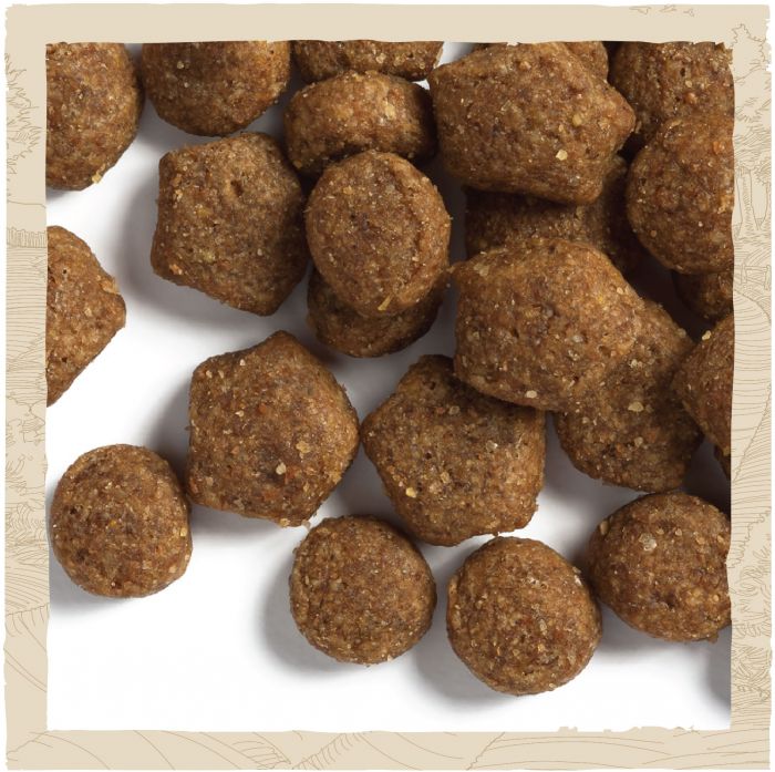 Сухий корм для цуценят DOG CHOW Puppy з ягням 2,5 кг