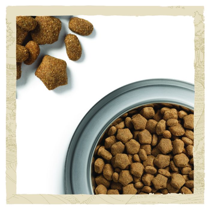 Сухий корм для дорослих собак DOG CHOW Sensitive Adult схильних до алергії з лососем 14 кг