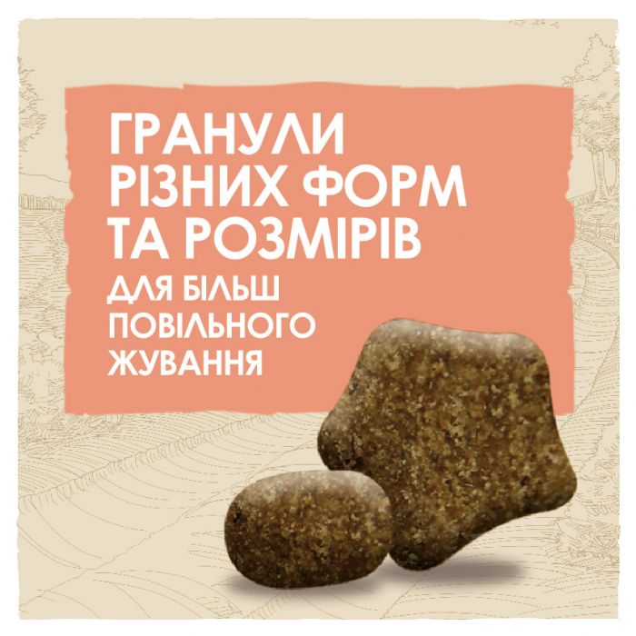 Сухий корм для дорослих собак DOG CHOW Sensitive Adult схильних до алергії з лососем 14 кг