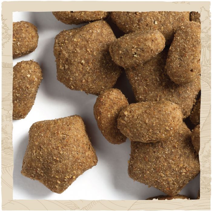 Сухий корм для дорослих собак DOG CHOW Sensitive Adult схильних до алергії з лососем 2,5 кг