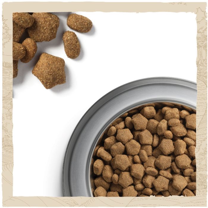 Сухий корм для дорослих собак DOG CHOW Sensitive Adult схильних до алергії з лососем 2,5 кг