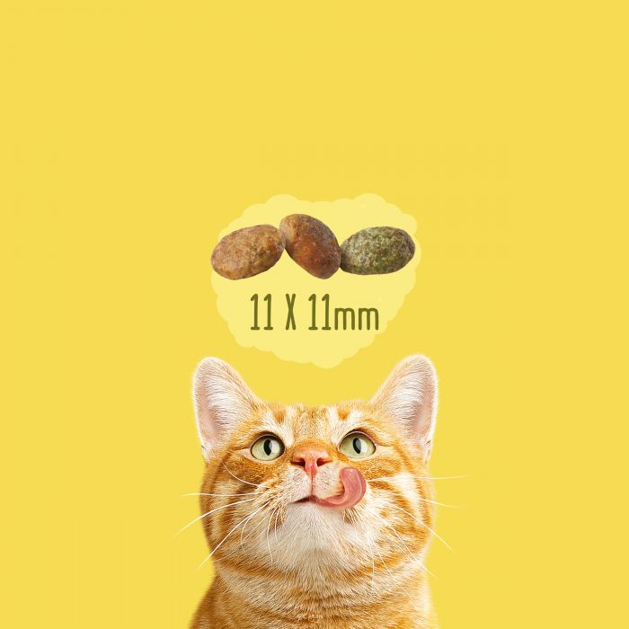 Сухий корм для котів FRISKIES Indoor  що постійно перебувають у приміщенні з куркою та індичкою з овочами 1,5 кг