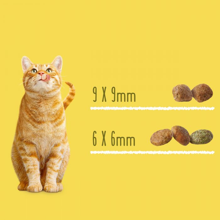 Сухий корм для котів FRISKIES Sterilized  після стерилізації з лососем тунцем та овочами 10 кг