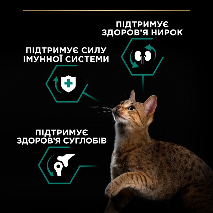 Сухий корм для котів  PRO PLAN Adult 1+ Renal Plus з куркою 10 кг