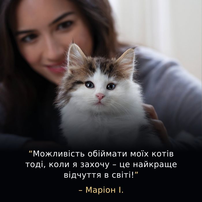 Сухой корм для кошек PRO PLAN LiveClear Kitten <1 для котят для уменьшения аллергенов на шерсти с индейкой 1,4 кг
