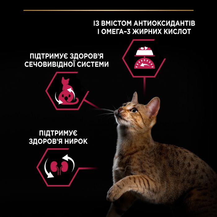 Сухой корм для кошек PRO PLAN Sterilised Adult 1+ Savoury Duo после стерилизации с треской и форелью 10 кг
